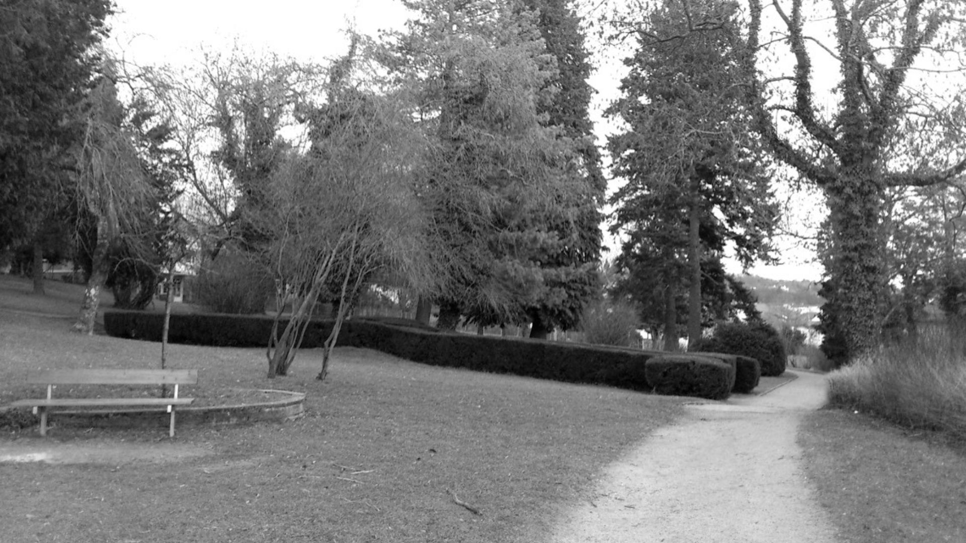 Weststadtpark in Pforzheim - Park mit Spazierwegen, Bänken und Bäumen